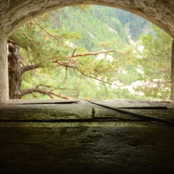 2015-07 Savoie/Essaillon/DSC_0153.JPG